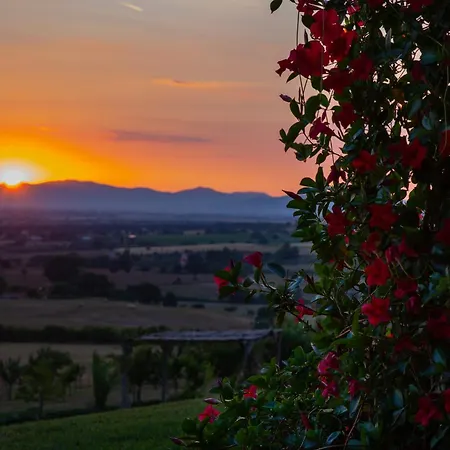 Podere N.8 Bio Casale Maremma